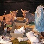 На Рождество по странам Европы и США прокатилась волна антихристианских акций