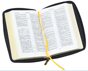 Жителя Сочи оштрафовали за несанкционированное чтение Библии
