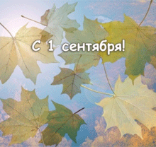К началу учебного года